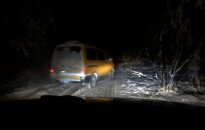 Молодых людей на лесной дороге преследовали охотники