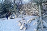 Laukėte žiemos? Artėja tikras speigas