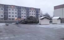 Lietuvoje vėjas nuvertė dar vieną Kalėdų eglutę