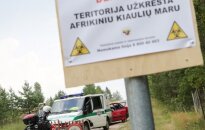 Auginantiems kiaules – žinia iš ministrės