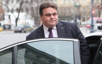 L. Linkevičius: tai – eilinė nesąmonė