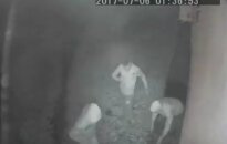 Policija ieško Alytuje nufilmuotų vagišių: išdaužę parduotuvės langą ištuštino lentynas