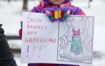 Iš mamos atimto Gabrieliaus istorijoje – naujos detalės