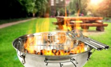 Laimėkite 5 kg marinuotos vištienos ir renkite didelį pikniką!