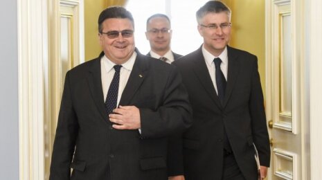 Linkevičius to on the EU enlargement