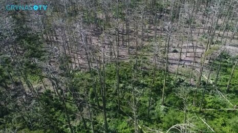 Vieta, kur vyksta nuožmus karas tarp gamtos ir žmogaus: štai kaip ji atrodo iš paukščio skrydžio