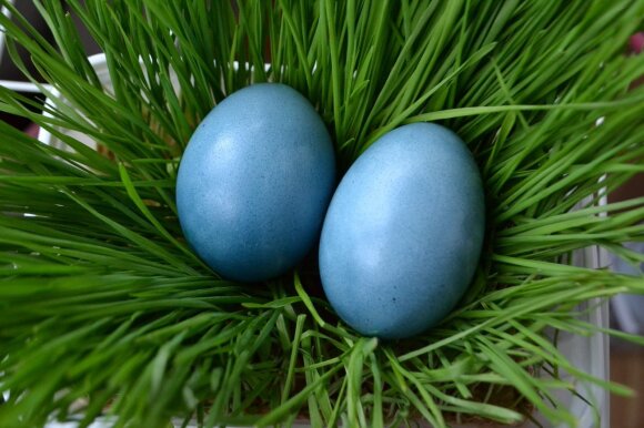 <span style="color: #ff0000;">EKSPERIMENTAS:</span> dažėme kiaušinius be chemijos – rezultatas nustebino <sup style="color: #ff0000;">FOTO</sup>