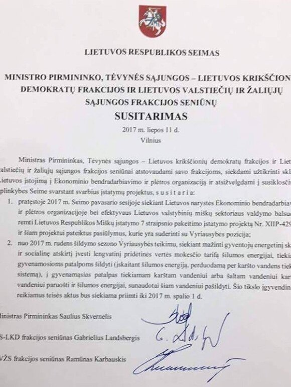 G. Paluckas: formalus koalicijos egzistavimas neturi jokios prasmės