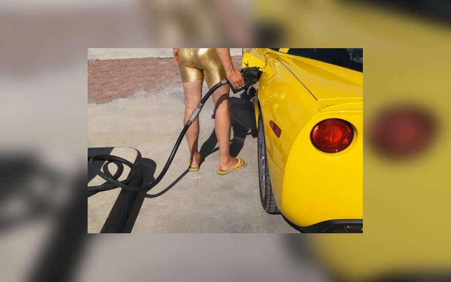 I.Paleičikas: benzinas daugiau kaip iki 5 Lt šiais metais nebrangs