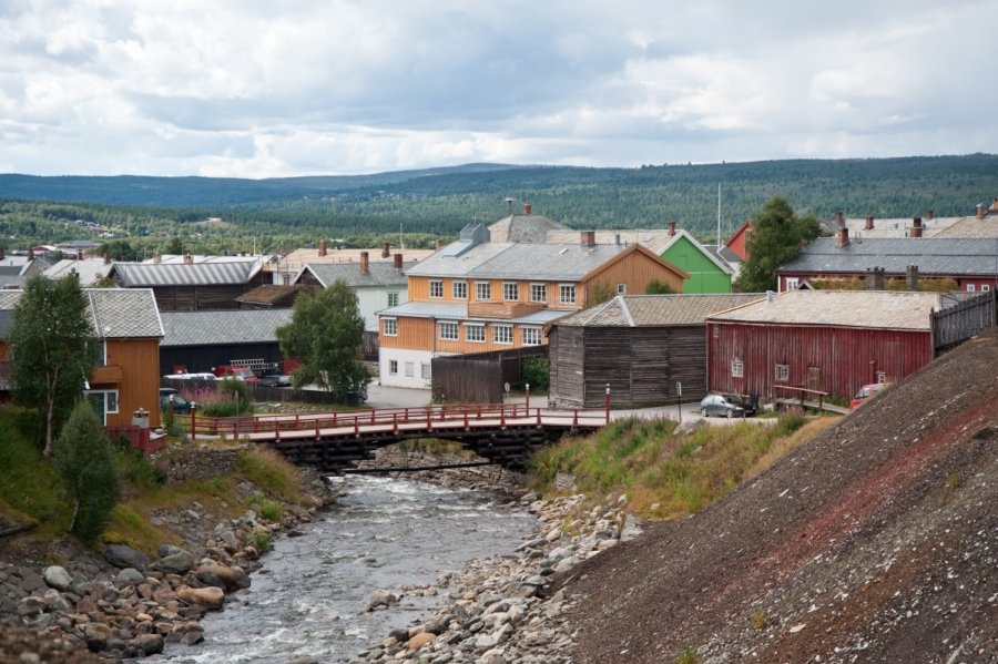 Цветы и прочее, что приносит эстетическое наслаждение. - Страница 2 Rerusas-norvegija-67041888