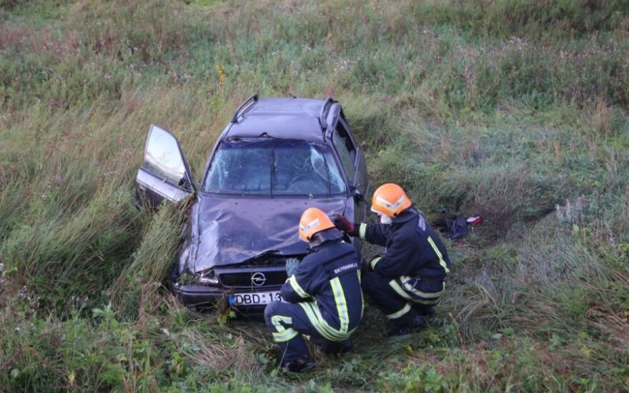 Водитель разбитого автомобиля: я не хотел сбить кота