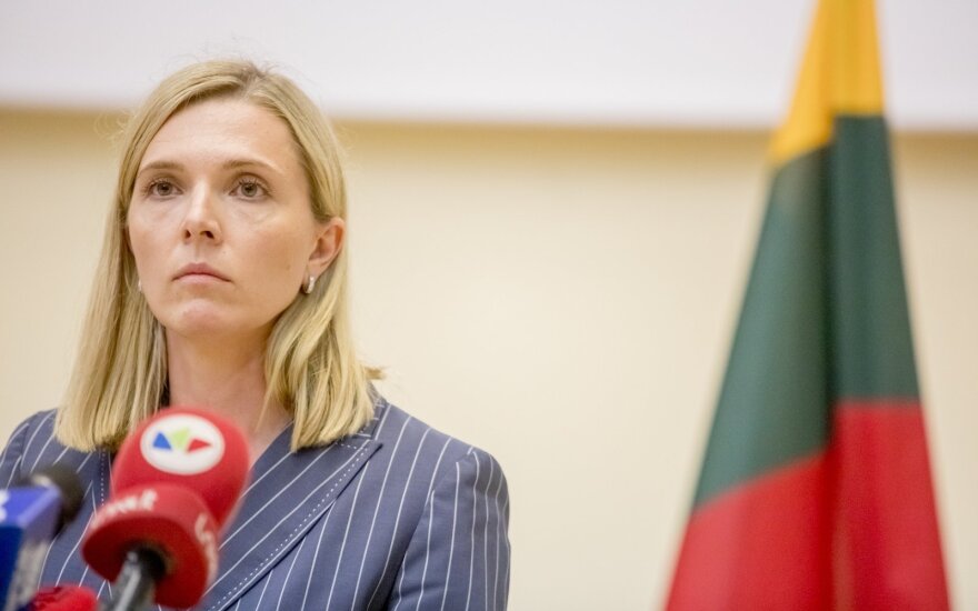 Глава МВД: до конца года в Литве может оказаться 10 тысяч нелегальных мигрантов