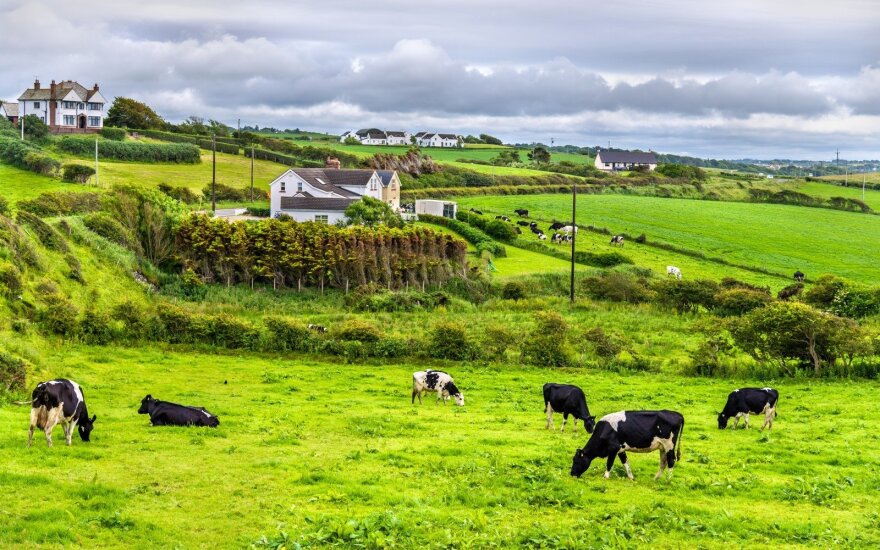Airijos ūkis