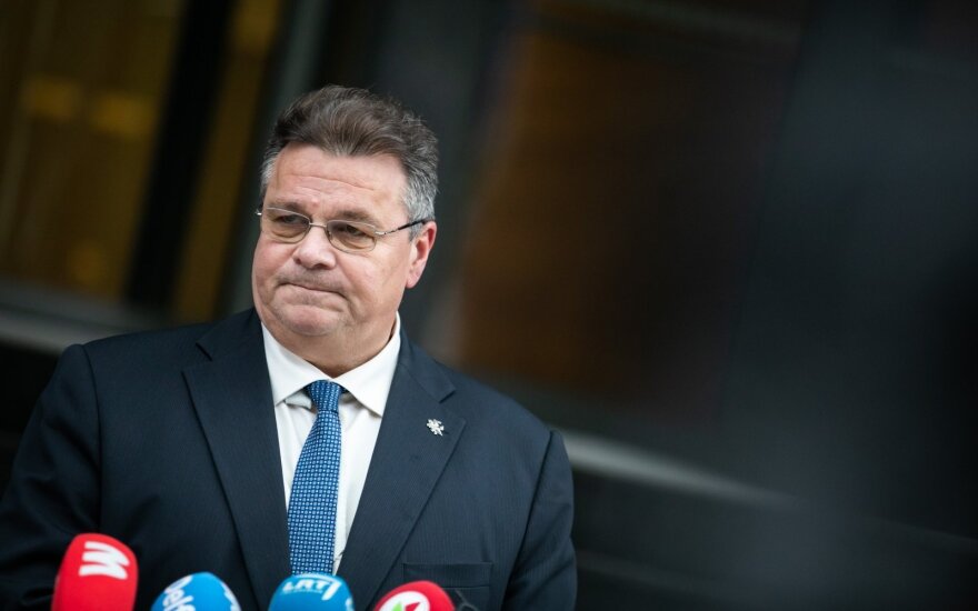 Глава МИД Литвы удивлен решением России объявить Тихановскую в розыск