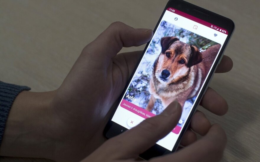 В Литве появился Tinder для знакомства с собаками
