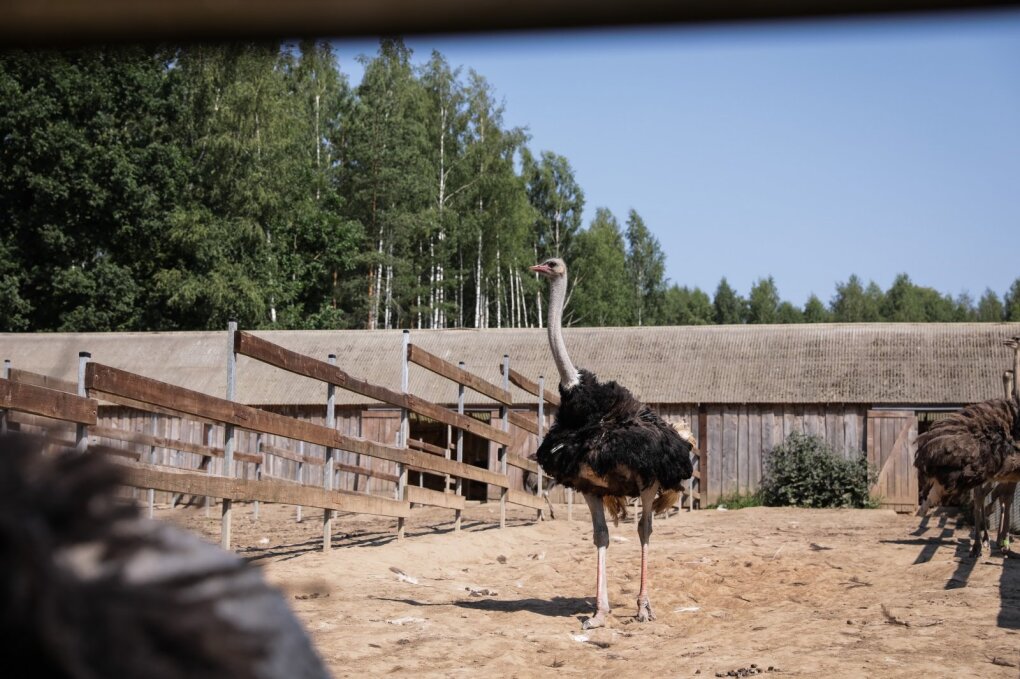 Nornieki rope farm