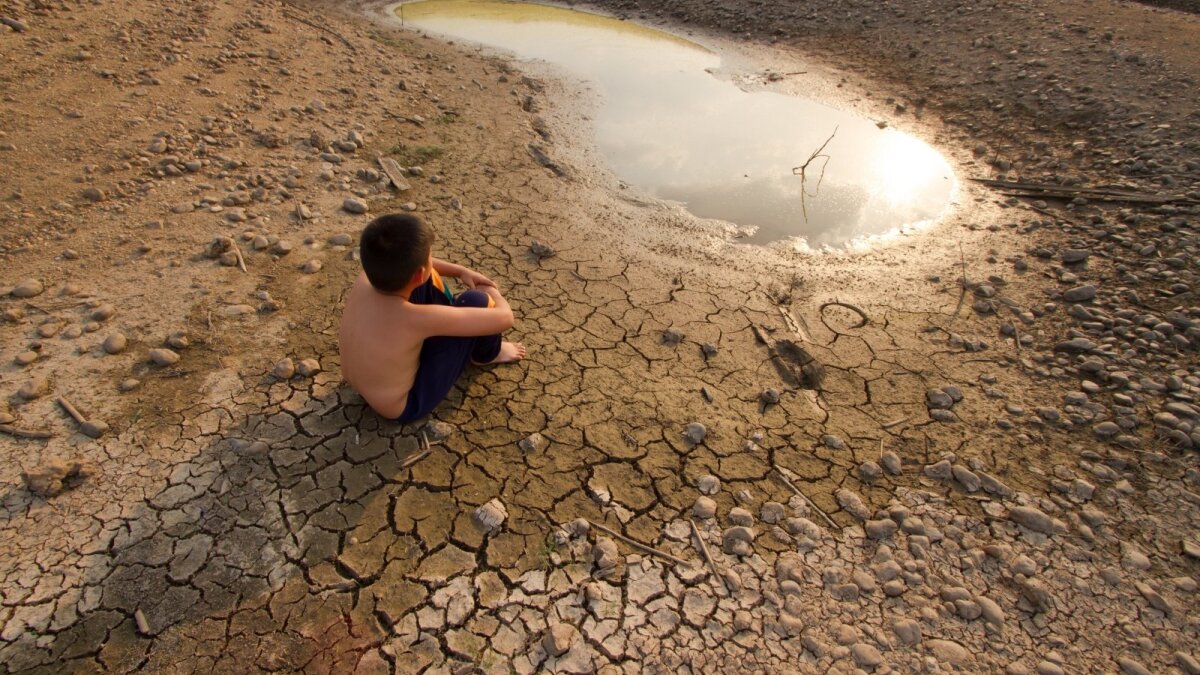 Žmogaus sukelta klimato krizė yra ne „perdėtas teiginys“, o mokslinis faktas