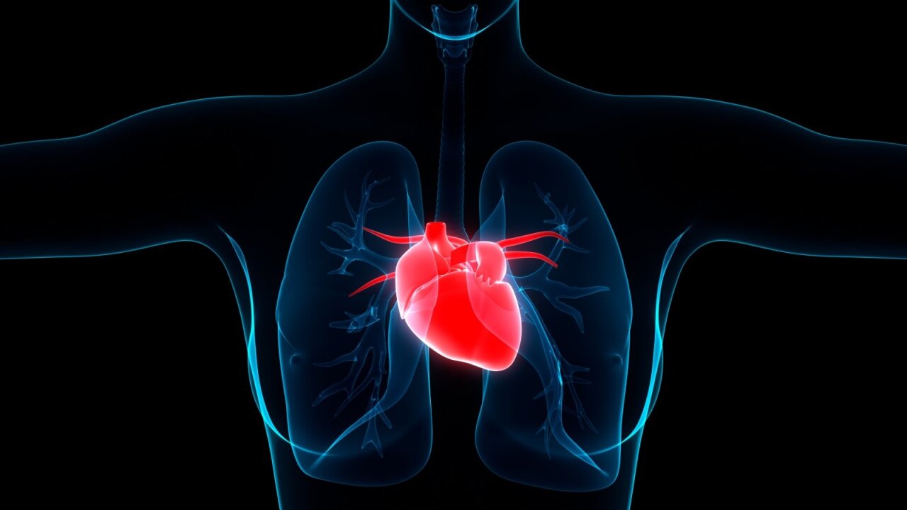 širdies sveikata naudinga magniui