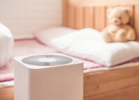 Oras namuose labiau užterštas nei lauke: kaip sumažinti žiedadulkių ir kitų alergenų poveikį