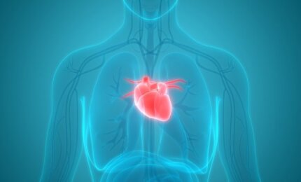 širdies priepuolio poveikis sveikatai