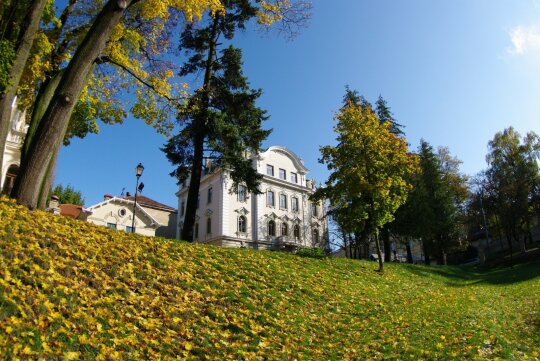 Vileišių rūmai