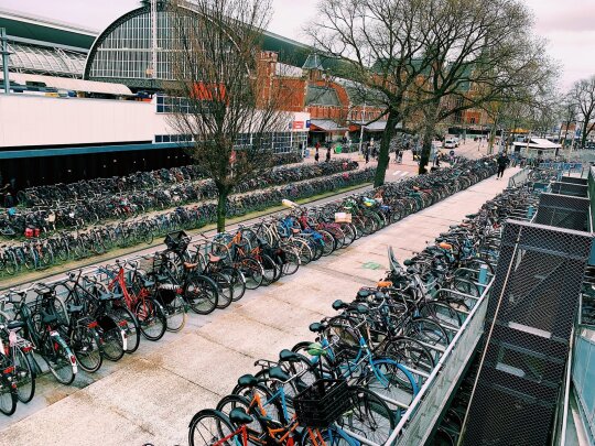 Dviratininkai Amsterdame