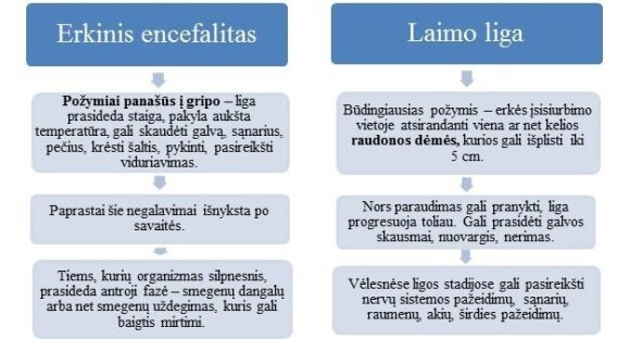 Contact your doctor immediately if you experience these symptoms - this may be tick-borne encephalitis