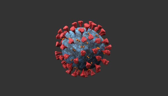 Coronavirus 