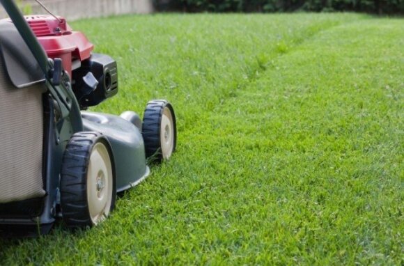 How to choose a lawn mower: simple criteria