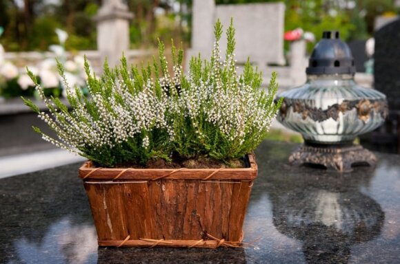 Grave Flowers: Choose live or artificial and which combinations look the most beautiful