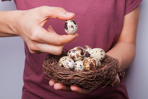 Quail eggs