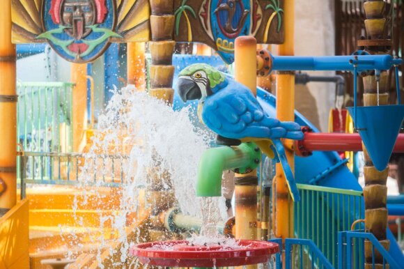 During the quarantine, not all water parks will close their doors: they have discovered how to avoid the restrictions