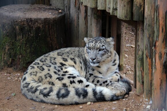 Lithuania Zoo