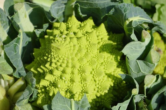 Romanesco