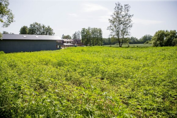 The new amusement park in Lithuania, presented aloud, did not go unnoticed: visitors flock, but not everyone is satisfied