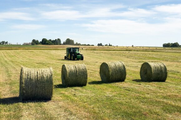 Cooperation of small farmers: for which activities up to 90 thousand.  euros