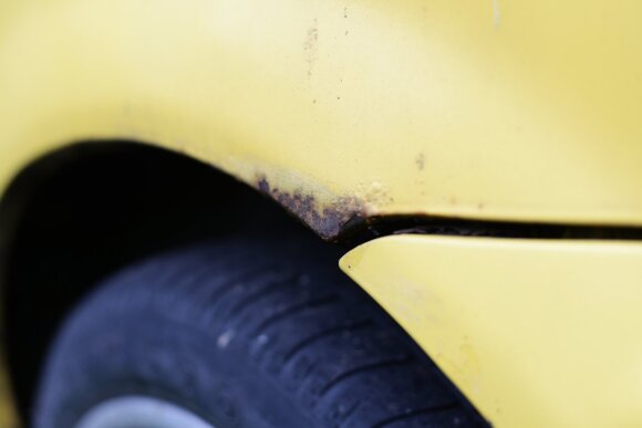 Rust.  Foto av Rice University / VidaPress / Scanpix