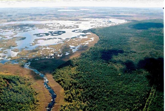 Bird's Eye View Fish Reserve