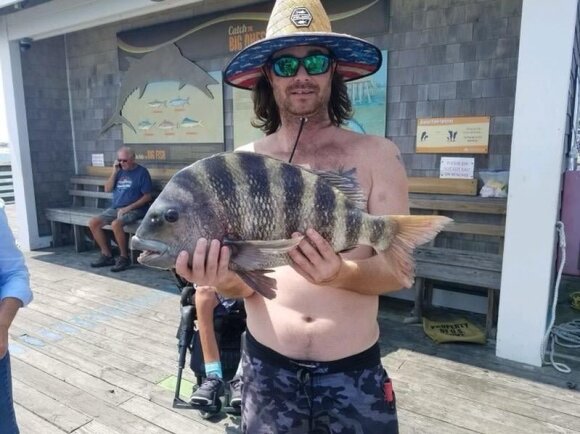 Ši žuvis vadinama avingalviu karosu (Archosargus probatocephalus). Jennette's Pier/dnr.maryland.gov nuotr.