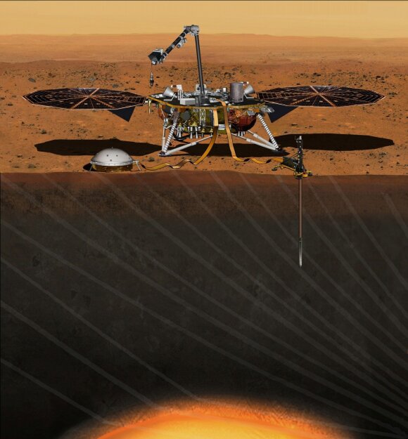 Insight probe 