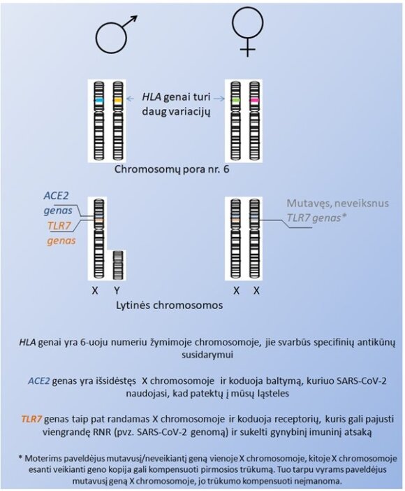 The researcher explained why some people have severe COVID-19 disease