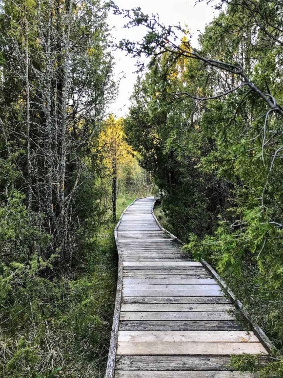 By time in nature: the 5 most beautiful cognitive trails in Lithuania