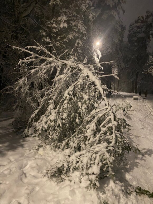 Record day: most snow-related disaster reports came from three districts of the country