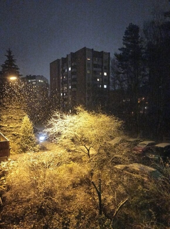 The first snow in Vilnius