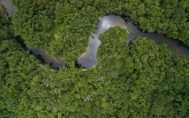 Amazonė