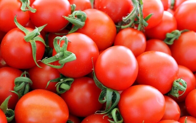 pomidorai