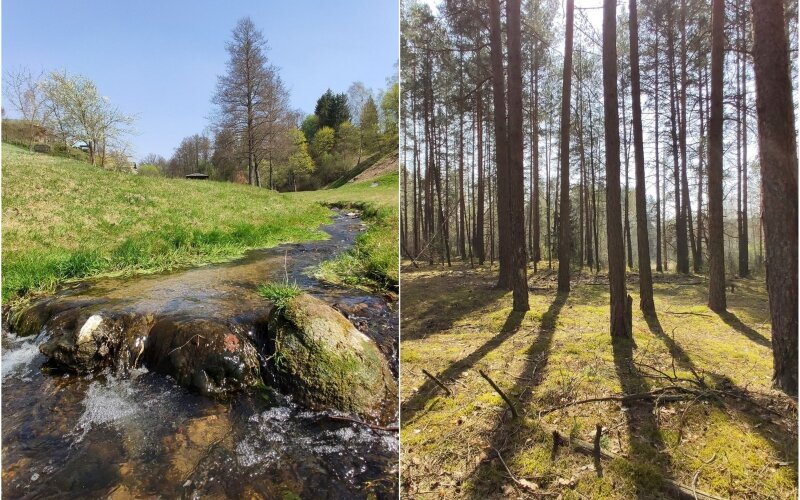 Dzūkija
