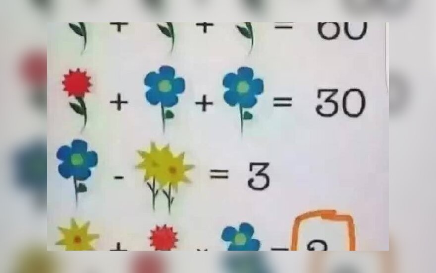 Naujas Matematinis Galvosukis Vercia Internautus Sukti Galvas Delfi Pilietis