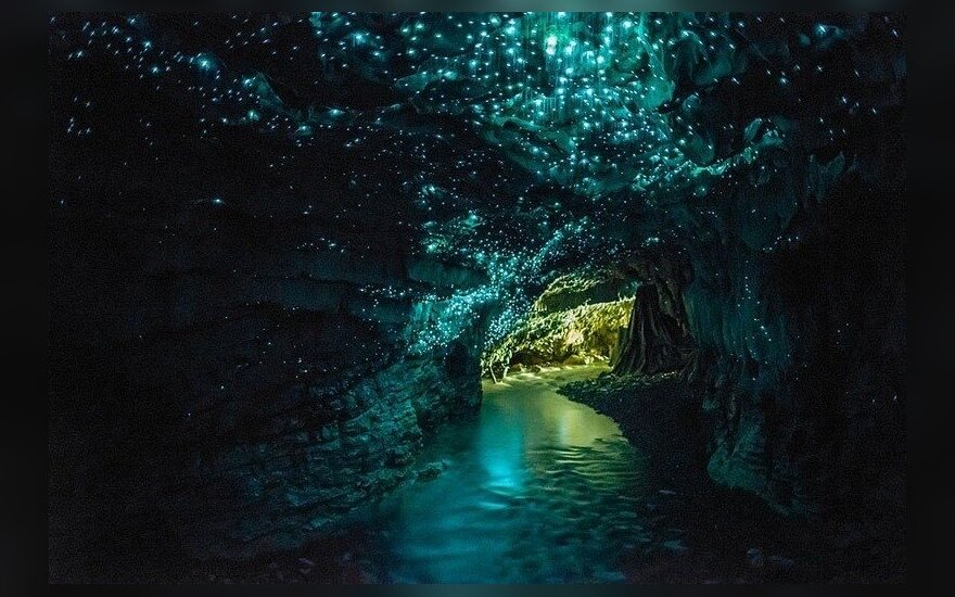 White Beetle Caves in New Zealand / Photo by New Zealand Tourist Information Center.