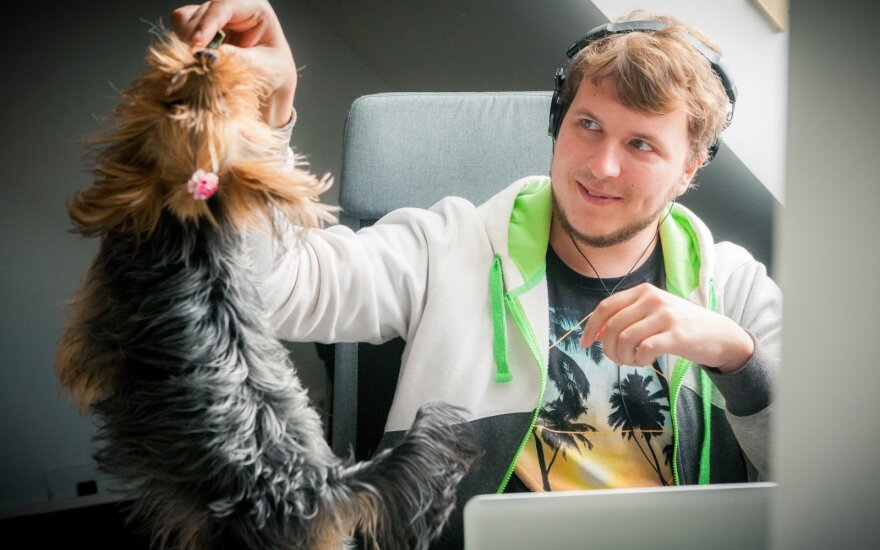 Programuotojams Lietuvoje padeda dirbti ir šunys